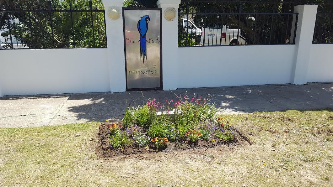 Blu Bed & Breakfast Port Elizabeth Eksteriør bilde